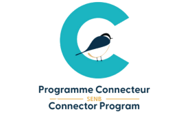 CONNECTOR-PROGRAM